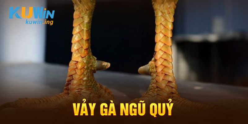 Vảy gà ngũ quỷ thumb