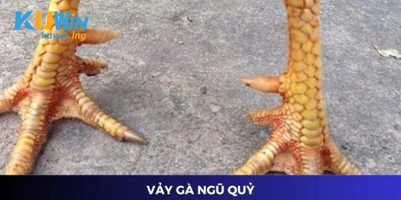 Các đặc điểm nổi bật của vảy ngũ quỷ tại Kuwin