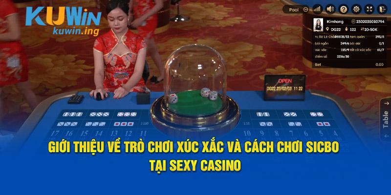 Giới thiệu về game xúc xắc và cách chơi Sicbo