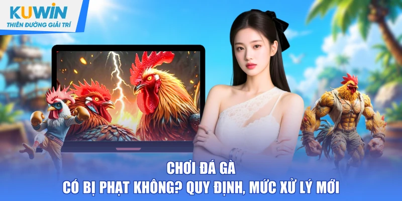 Chơi Đá Gà Có Bị Phạt Không