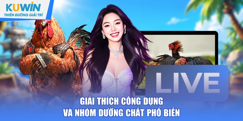 Giải thích công dụng và nhóm dưỡng chất phổ biến
