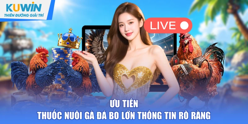 Ưu tiên thuốc nuôi gà đá bo lớn thông tin rõ ràng